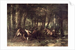 Spring, Stags Fighting, 1861 by Gustave Courbet