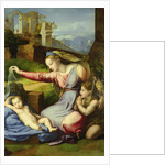 Virgin of the Veil by Giovanni Francesco Penni