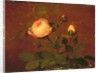 Roses, Roses by Otto Didrik Ottesen