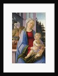 Madonna and Child with Angels by Filippino Lippi