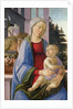 Madonna and Child with Angels by Filippino Lippi