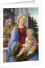 Madonna and Child with Angels by Filippino Lippi