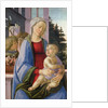Madonna and Child with Angels by Filippino Lippi