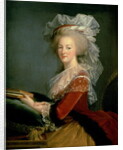 Portrait of Marie Antoinette by Elisabeth Louise Vigee-Lebrun