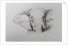 Elephant, 2011 by Eleanor Grafton