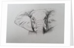 Elephant, 2011 by Eleanor Grafton