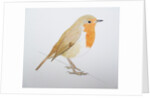 Robin, 2011 by Eleanor Grafton