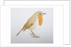 Robin, 2011 by Eleanor Grafton