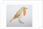 Robin, 2011 by Eleanor Grafton