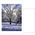 Snow Scene by Patricia Espir