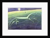 White Horse Hill, Uffington, 1992 by Evangeline Dickson