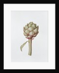 Artichoke, 1999 by Diana Everett
