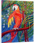 Pretty Polly by Patricia Eyre