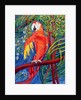 Pretty Polly by Patricia Eyre