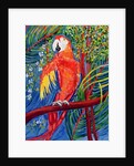 Pretty Polly by Patricia Eyre