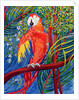 Pretty Polly by Patricia Eyre