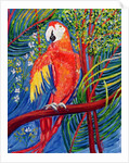 Pretty Polly by Patricia Eyre
