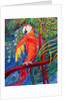 Pretty Polly by Patricia Eyre