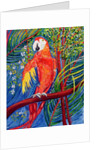 Pretty Polly by Patricia Eyre