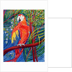 Pretty Polly by Patricia Eyre