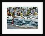 Winter Thaw, Gatineau River by Patricia Eyre