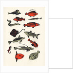 Orange Plain Fish, 2016 by Eliza Southwood