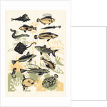 Peach Seaweed Fish, 2015 by Eliza Southwood