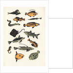 Plain Fish, 2015 by Eliza Southwood