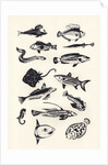 Monotone Plain Fish, 2015 by Eliza Southwood