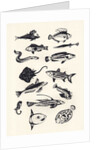 Monotone Plain Fish, 2015 by Eliza Southwood