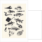 Monotone Plain Fish, 2015 by Eliza Southwood