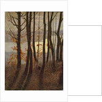 Morning by Vittore Grubicy de Dragon