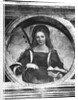 St. Agatha by Giovanni Antonio Boltraffio