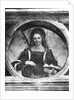 St. Agatha by Giovanni Antonio Boltraffio