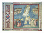 The Ascension, c.1305 by Giotto (c.1266-1337)