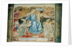 Madonna della Misericordia by Domenico di Bartolo