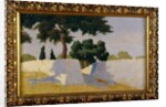 Landscape with white walls by Damaso Bianchi