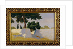 Landscape with white walls by Damaso Bianchi