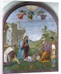 Adoration of the Shepherds by Francesco di Cristofano Franciabigio