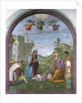 Adoration of the Shepherds by Francesco di Cristofano Franciabigio
