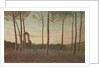 Landscape of the Villa Borghese, 1906 by Giuseppe Pellizza da Volpedo