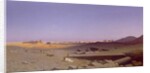 Ruins of Palmyra, 1839 by Charles Theodore (1814-88) Frere