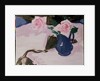 Roses by Francis Campbell Boileau Cadell
