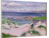 Iona, c.1920s by Francis Campbell Boileau Cadell