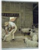 Sheep Shearing by Alexander Mann