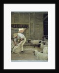 Sheep Shearing by Alexander Mann