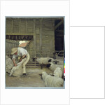 Sheep Shearing by Alexander Mann