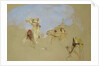 Study of Camels with Bedouin Drivers in the Desert of Mount Sinai by John Frederick Lewis