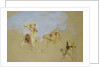 Study of Camels with Bedouin Drivers in the Desert of Mount Sinai by John Frederick Lewis