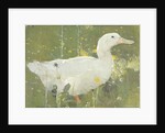 The White Drake by Joseph Crawhall